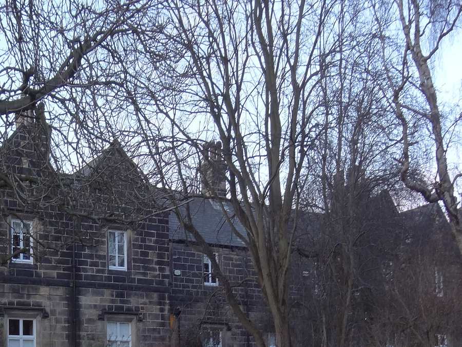 Stone house gable and slate roof behind bare winter branches